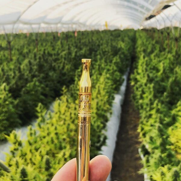 THC-A Blend Gold Vape Cartridge – 1g - Image 9